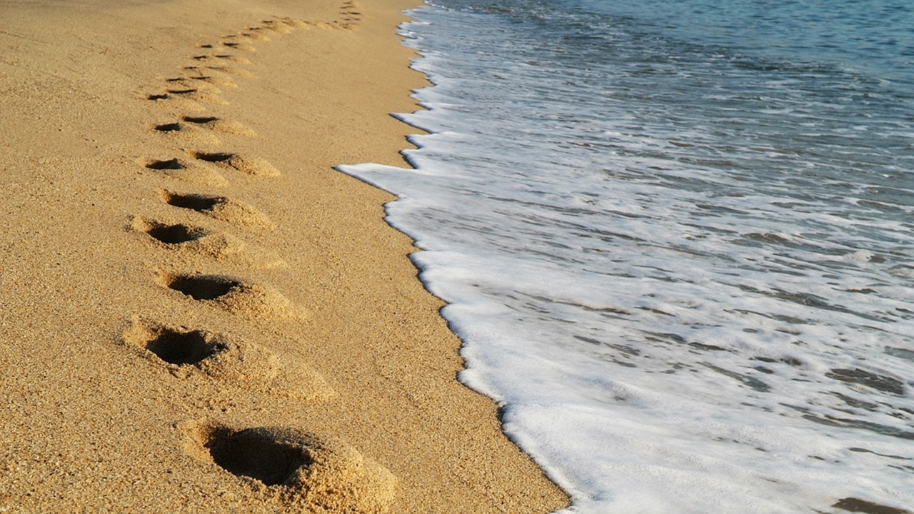 gangneung-2288788_1280.jpg